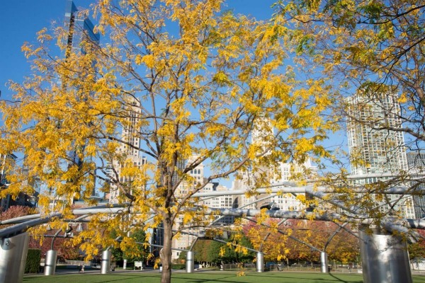 Pritzker-Pavilion_020